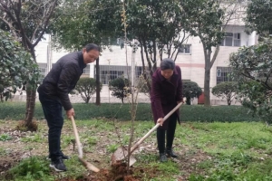 響應(yīng)綠水青山 創(chuàng)建文明校園